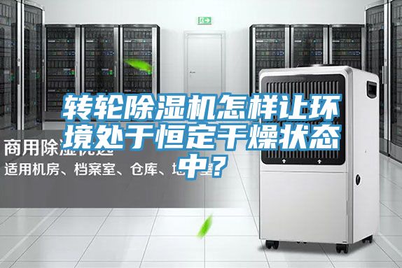 轉(zhuǎn)輪除濕機怎樣讓環(huán)境處于恒定干燥狀態(tài)中?