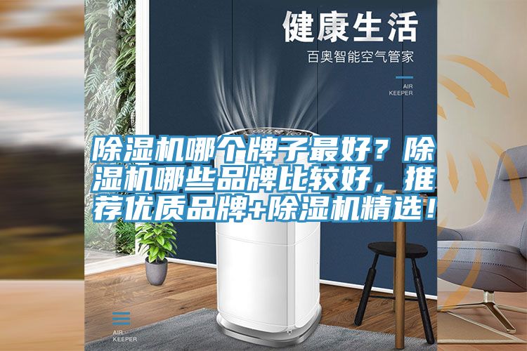 除濕機哪個牌子最好？除濕機哪些品牌比較好，推薦優(yōu)質(zhì)品牌+除濕機精選！