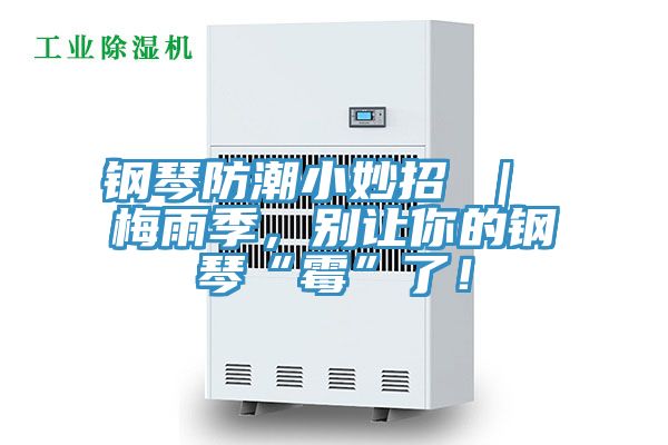 鋼琴防潮小妙招 ｜ 梅雨季，別讓你的鋼琴“霉”了！