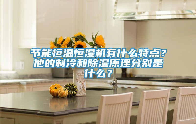 節(jié)能恒溫恒濕機(jī)有什么特點(diǎn)？他的制冷和除濕原理分別是什么？