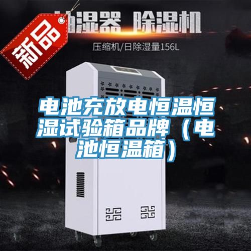 電池充放電恒溫恒濕試驗箱品牌(電池恒溫箱)