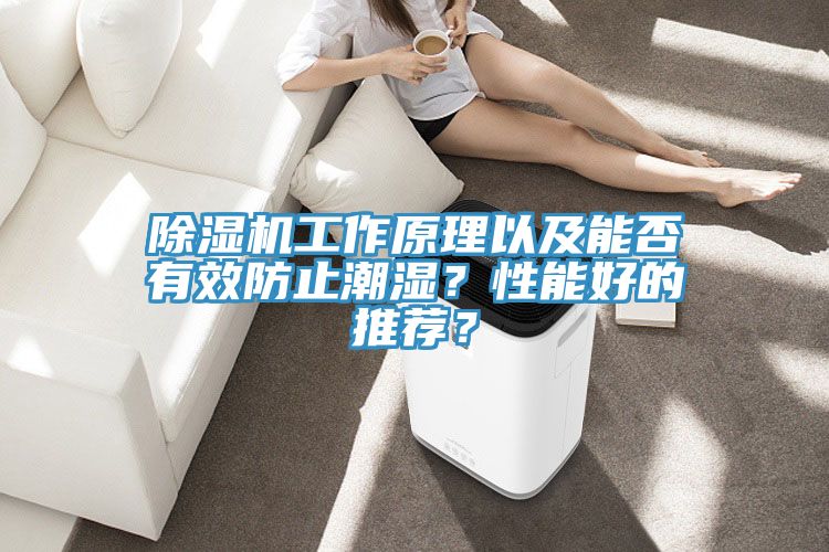 除濕機工作原理以及能否有效防止潮濕？性能好的推薦？
