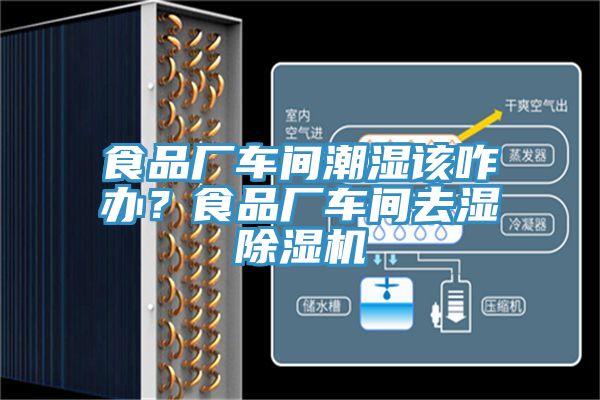食品廠車間潮濕該咋辦？食品廠車間去濕除濕機