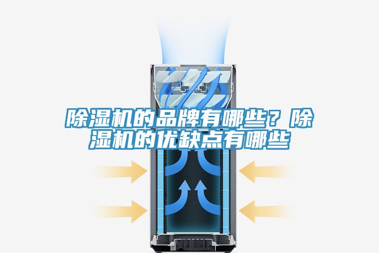 除濕機(jī)的品牌有哪些?除濕機(jī)的優(yōu)缺點有哪些