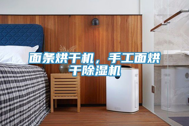 面條烘干機(jī),手工面烘干除濕機(jī)