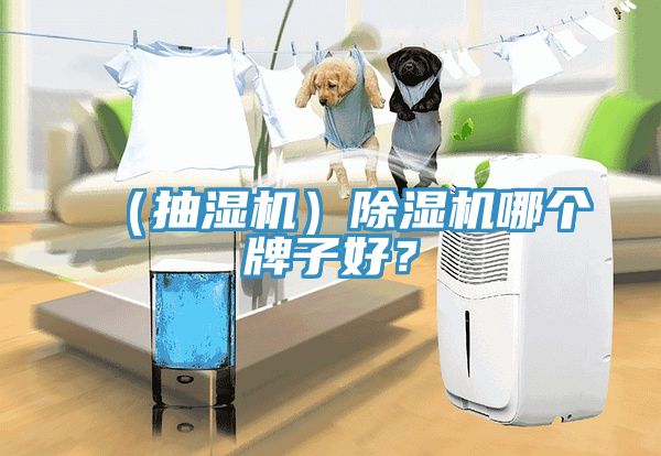 (抽濕機)除濕機哪個牌子好?