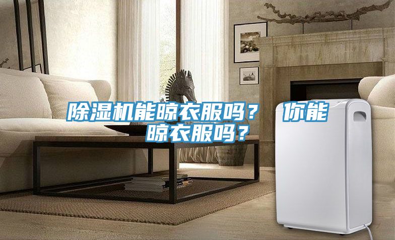 除濕機能晾衣服嗎? 你能晾衣服嗎?