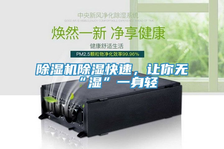 除濕機除濕快速,讓你無“濕”一身輕