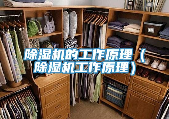 除濕機的工作原理(除濕機工作原理)