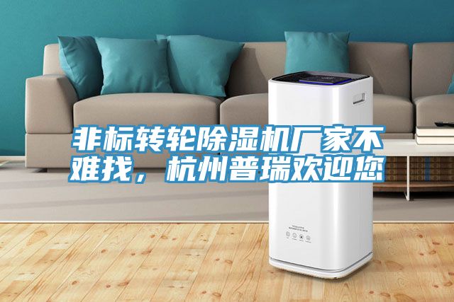 非標(biāo)轉(zhuǎn)輪除濕機(jī)廠家不難找,杭州普瑞歡迎您