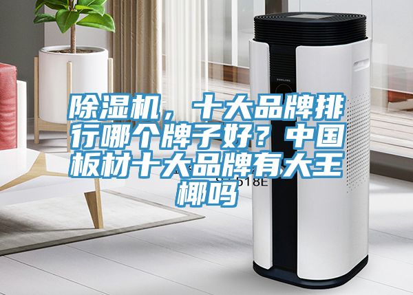 除濕機(jī),十大品牌排行哪個牌子好?中國板材十大品牌有大王椰嗎