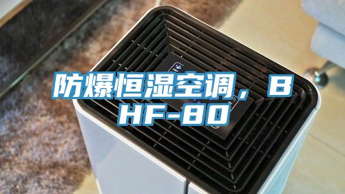 防爆恒濕空調,BHF-80