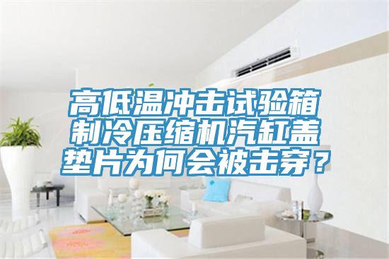 高低溫沖擊試驗(yàn)箱制冷壓縮機(jī)汽缸蓋墊片為何會(huì)被擊穿?