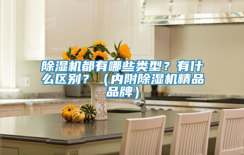 除濕機都有哪些類型?有什么區別?(內附除濕機精品品牌)