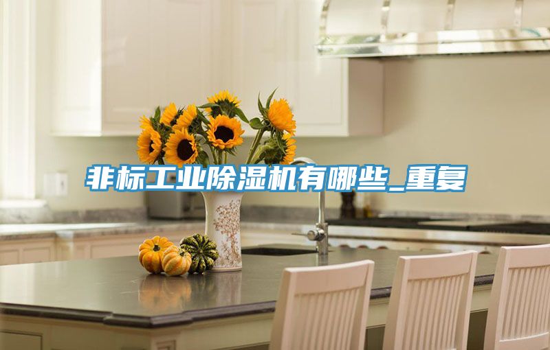 非標工業除濕機有哪些_重復